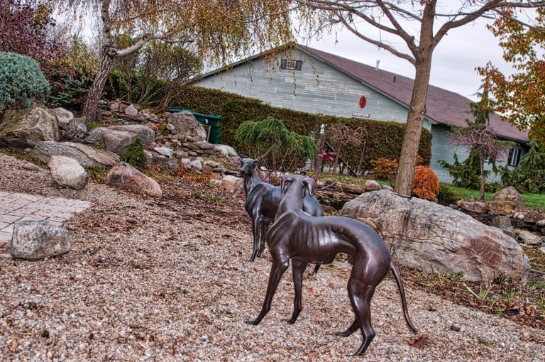 Photo by Jeff Poissant, RGD, for the website designed and hosted by evolvingmedia.com. Visit alexandriaveterinaryclinic.com